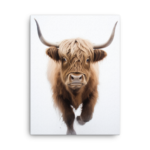 A Nicheink Highland Cow Canvas Wall Art with long horns on a white background.