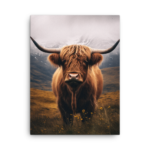 A Nicheink Highland Cow Canvas Wall Art - Rustic Home Decor is standing in a field.