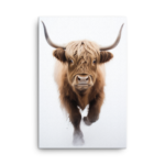 Nicheink Highland Cow Canvas Wall Art | Majestic Farm Animal Decor.